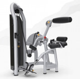 MATRIX Aura G3-S52 Разгибание спины