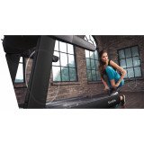 Smith ST870 Профессиональная Беговая дорожка 