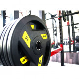 Диск обрезиненный 10 кг черно-зеленый AeroFit AFPLC