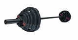 Штанга олимпийская наборная 88 кг OFT (диски 50 мм с двумя хватами, черный гриф 220 см)