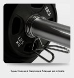 Замки пружинные BRONZE GYM 